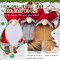 15 Pcs Gnome Beards for Crafting Faux Fabric Precut Gnomes Beards Handmade 30 Pieces Wood Balls for Halloween Christmas Easter Valentine's Day Independence Day (Gray, Camel, White)
